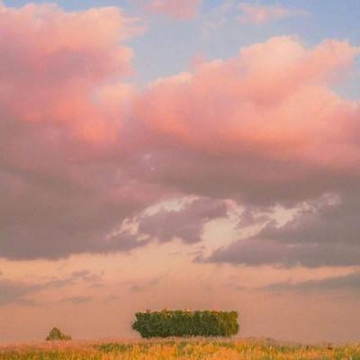 全面出动，视不可挡 | VisionChi...